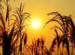 微信朋友圈深度句子