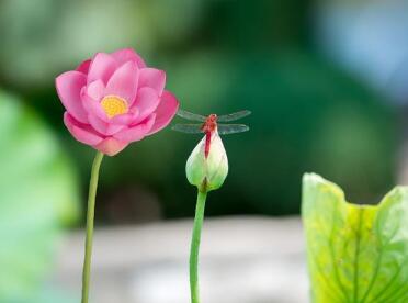 2021微信顺利吉祥的名字