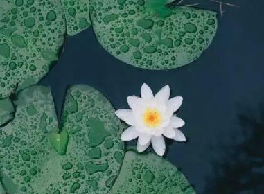 修心静心的昵称