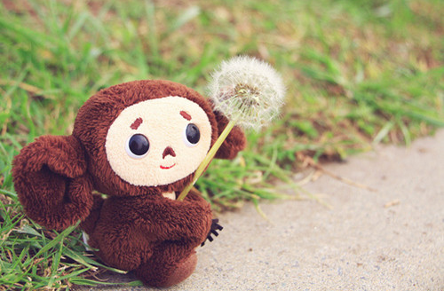 3个字的伤感网名大全 情已薄