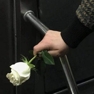 梦幻西游好听的家族名字